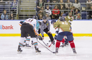 Photo: MosquitoByte Pty. Ltd.